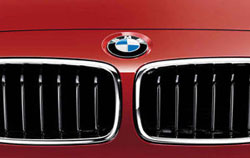 Kidney grill on red BMW